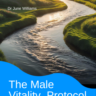 “The Male Vitality Protocol eBook by Dr June Williams – StreetHolistics® Holistic Men’s Health Guide”